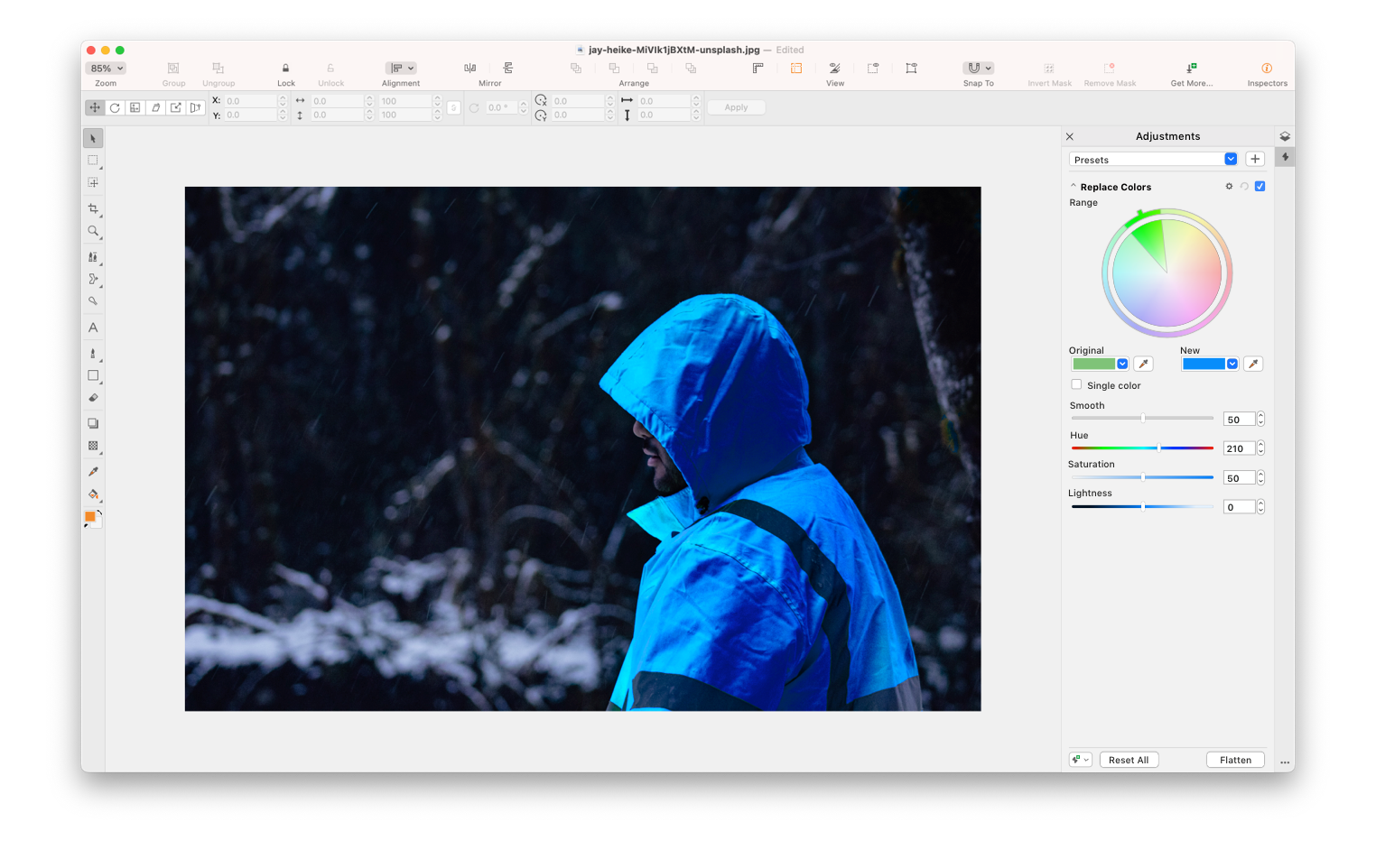 Application screenshot with Replace Colors open in the Adjustments panel.